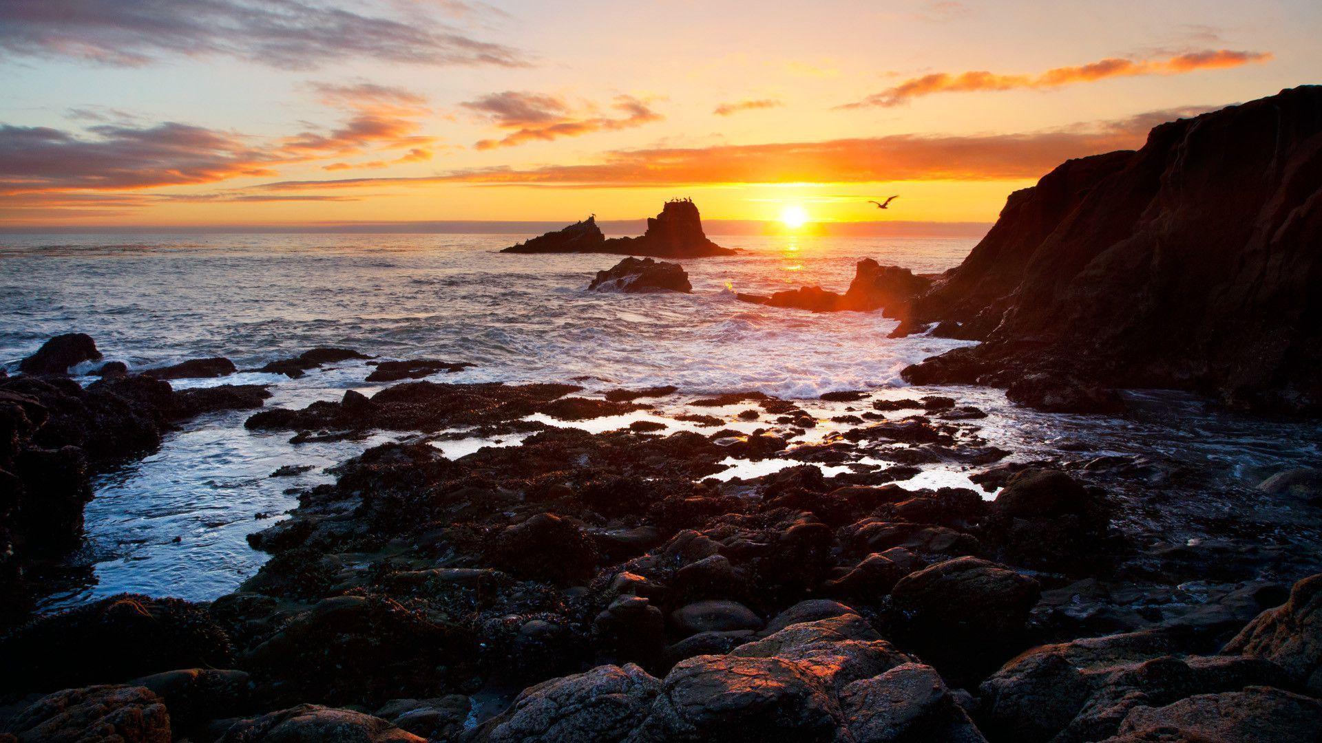 Laguna Beach Wallpapers Wallpaper Cave