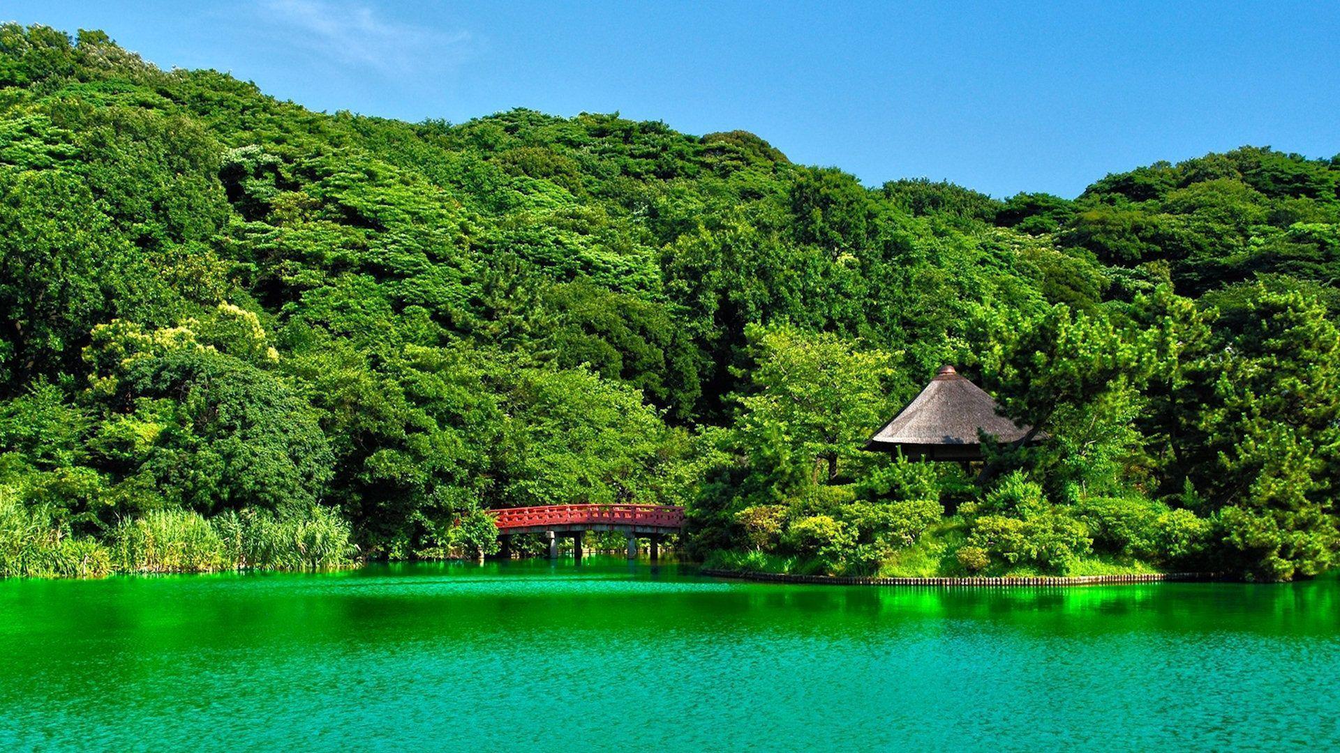 Exotic Wallpapers Wallpaper Cave