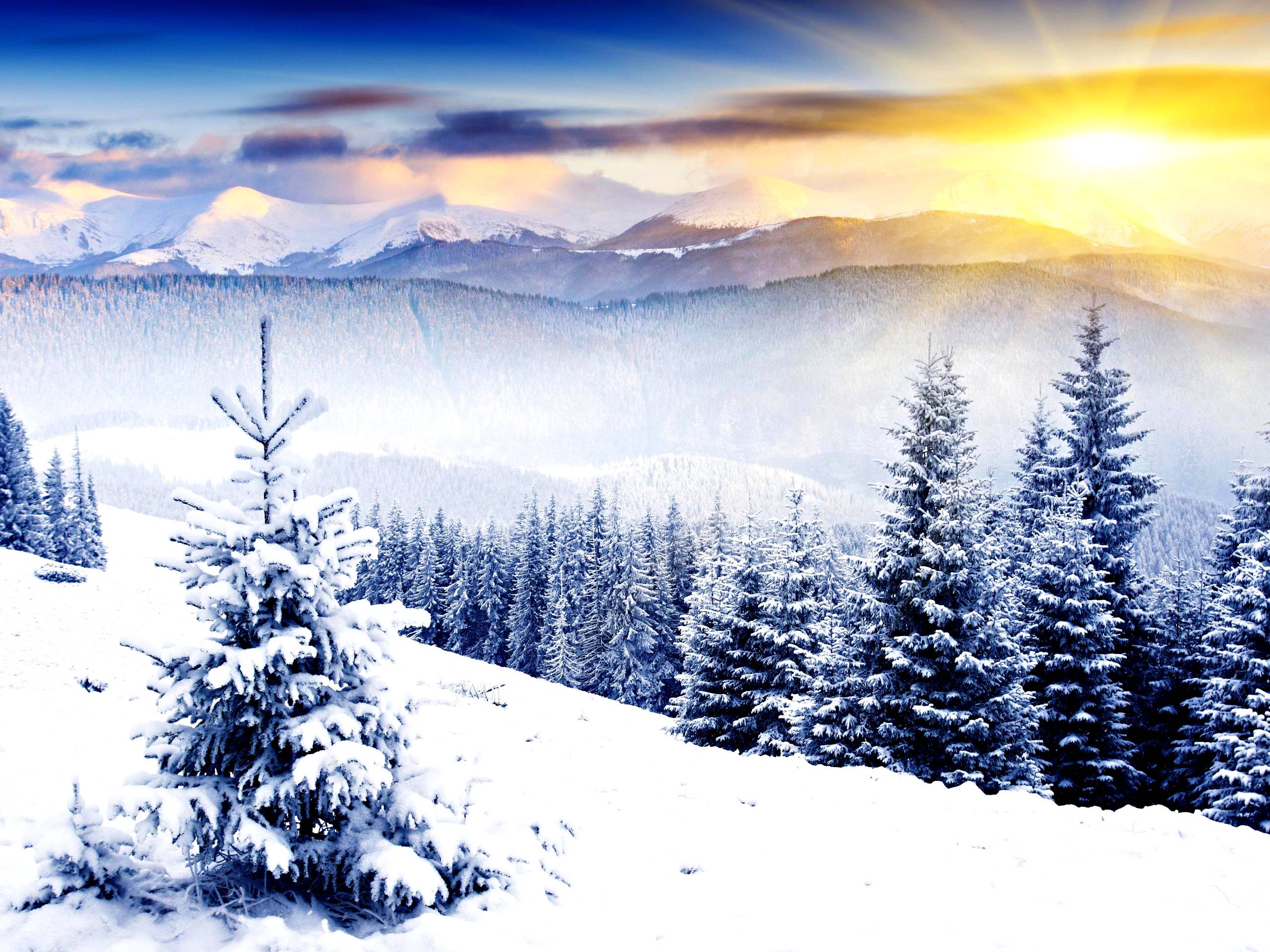 Wintersun Wallpapers Wallpaper Cave