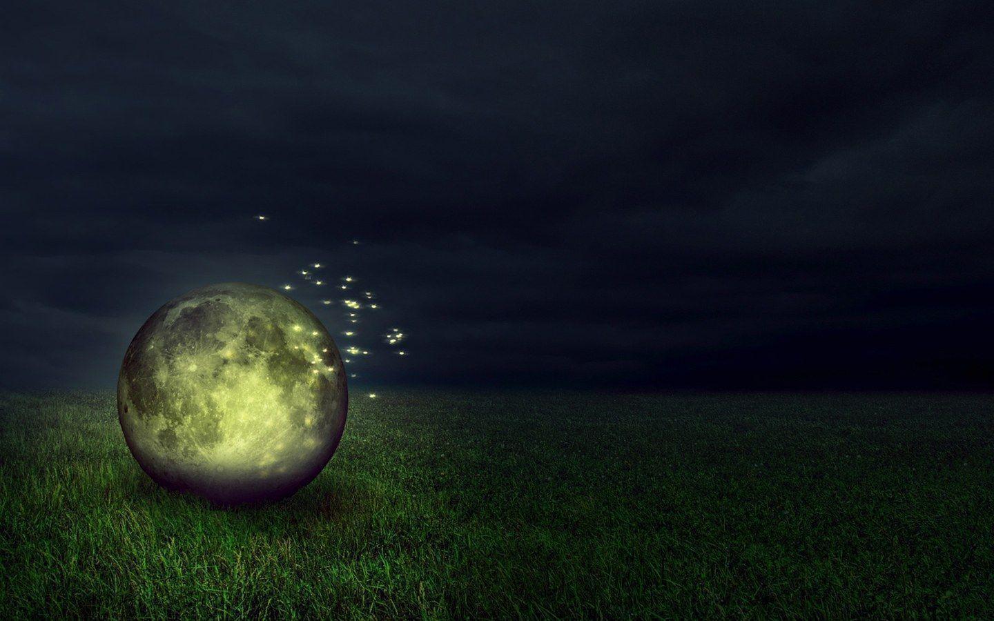 Fireflies Wallpapers Wallpaper Cave