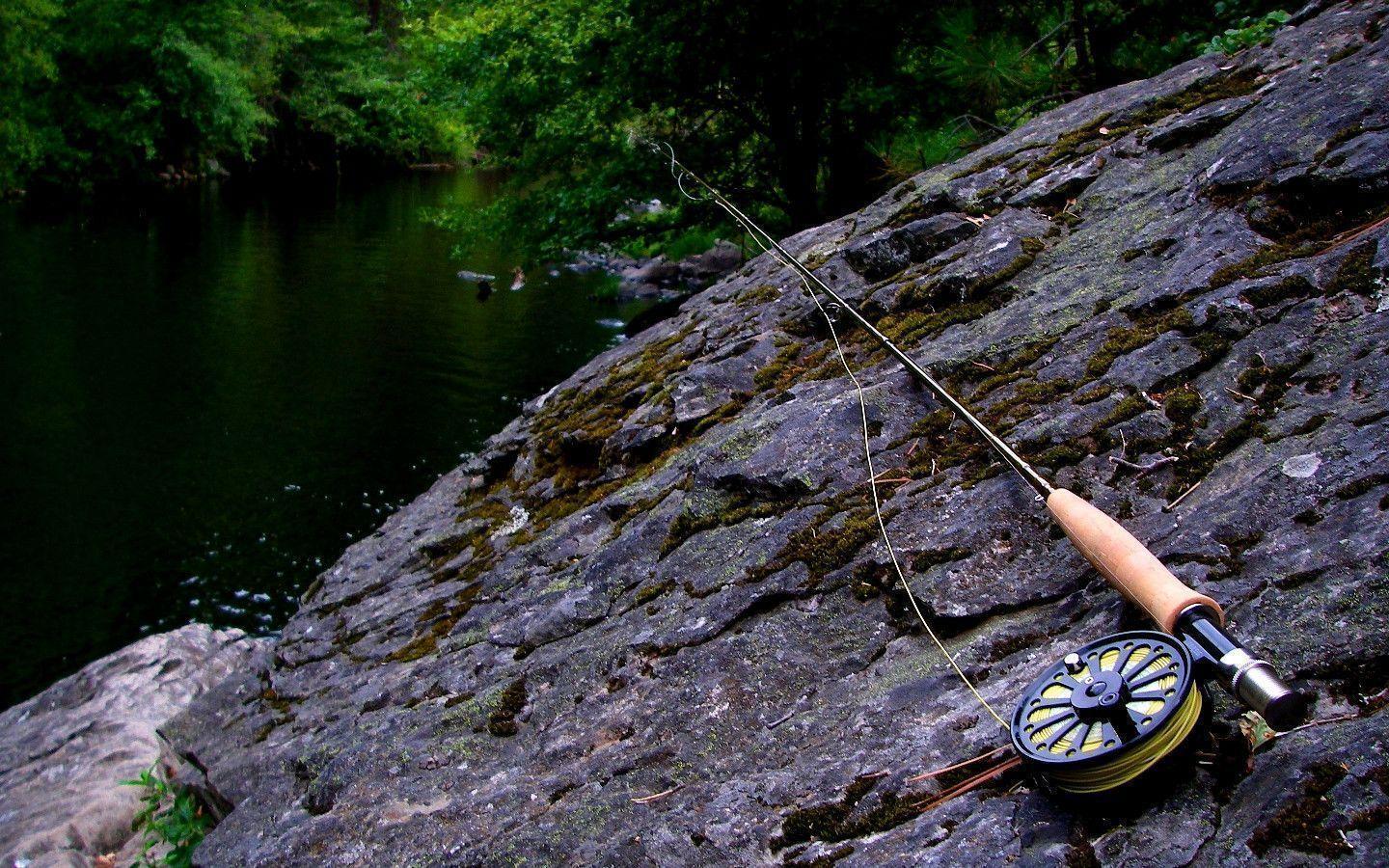 Trout Fishing Wallpapers Wallpaper Cave
