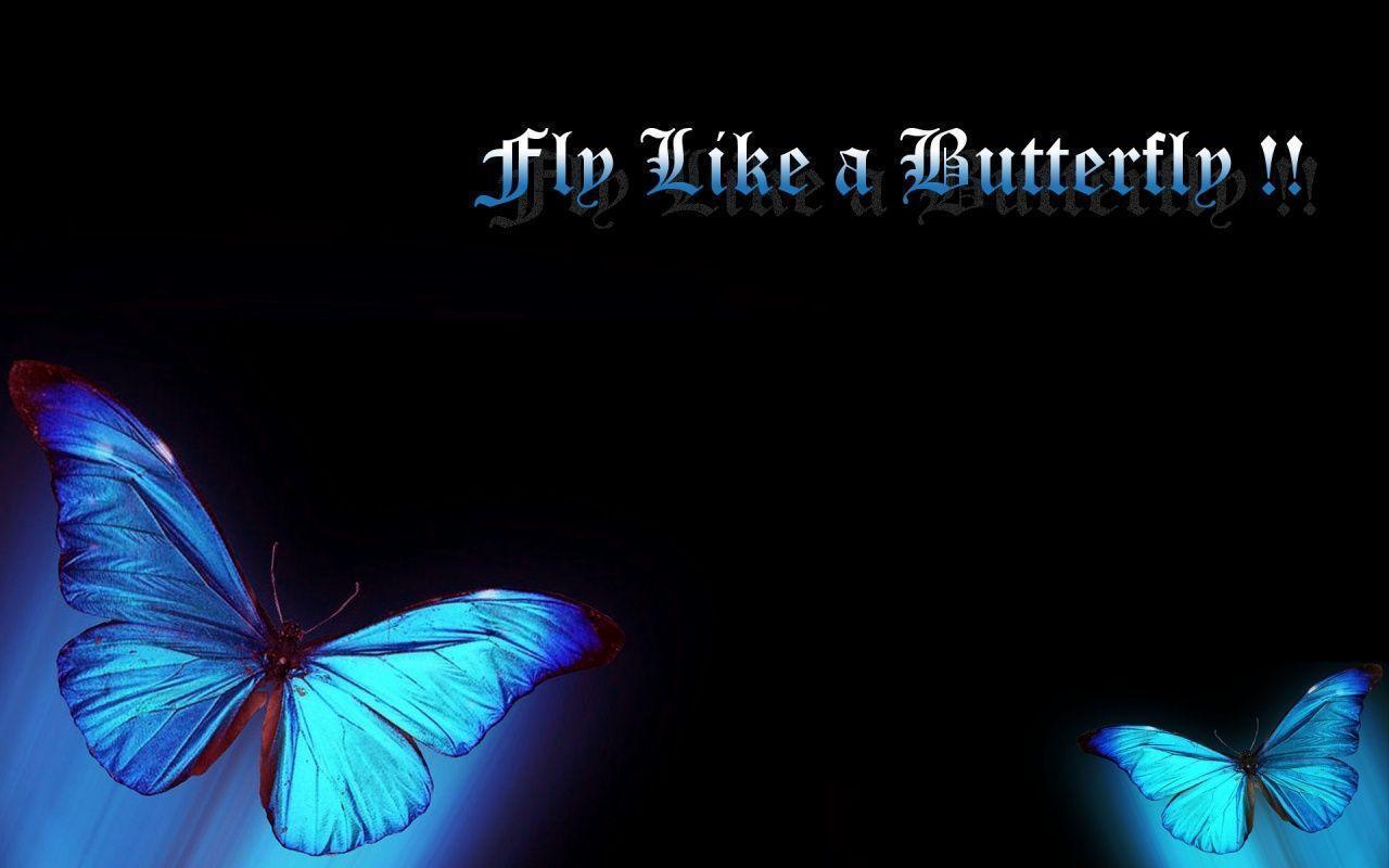 3D Butterfly Wallpapers Wallpaper Cave