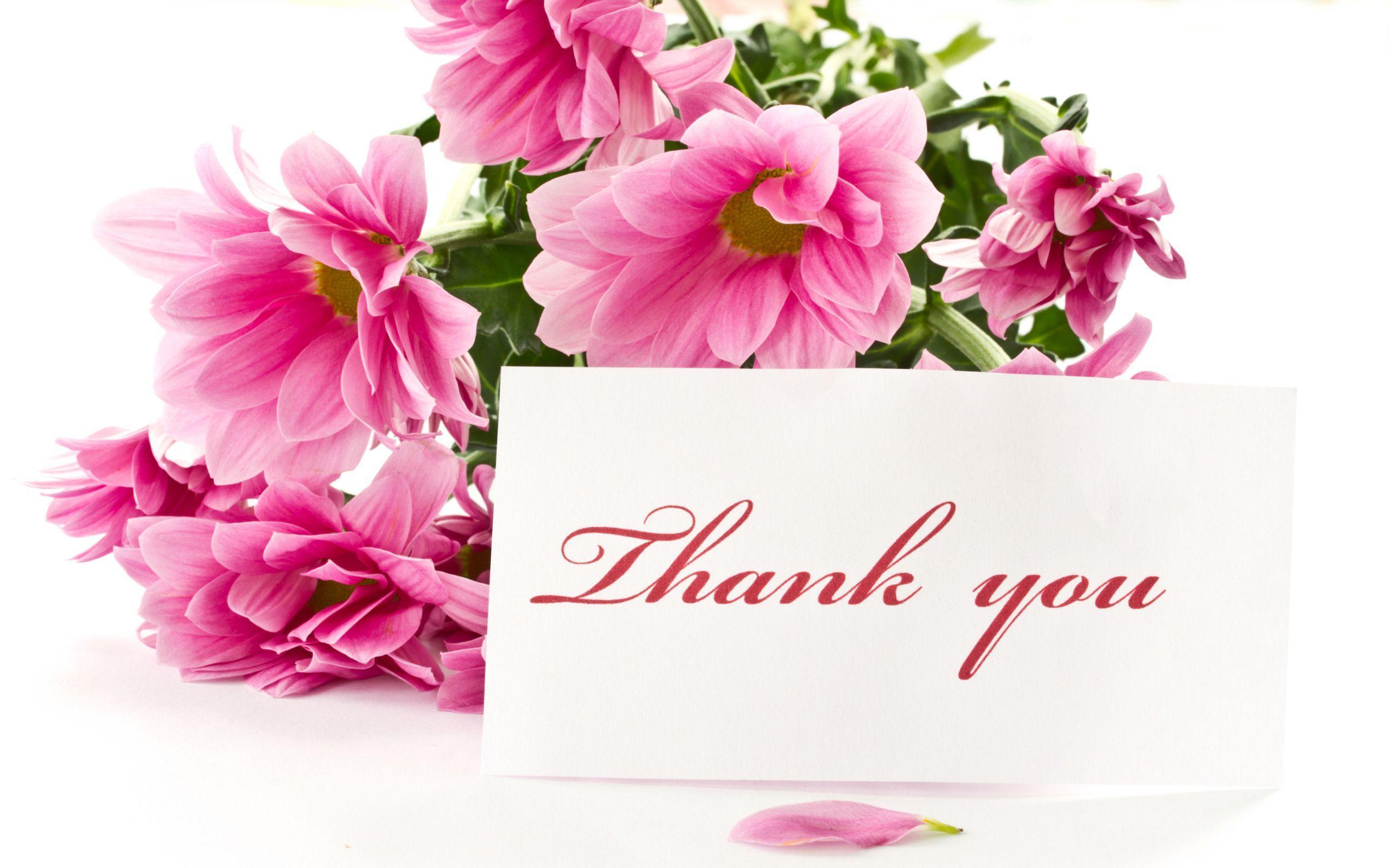 Thank You Wallpapers Wallpaper Cave