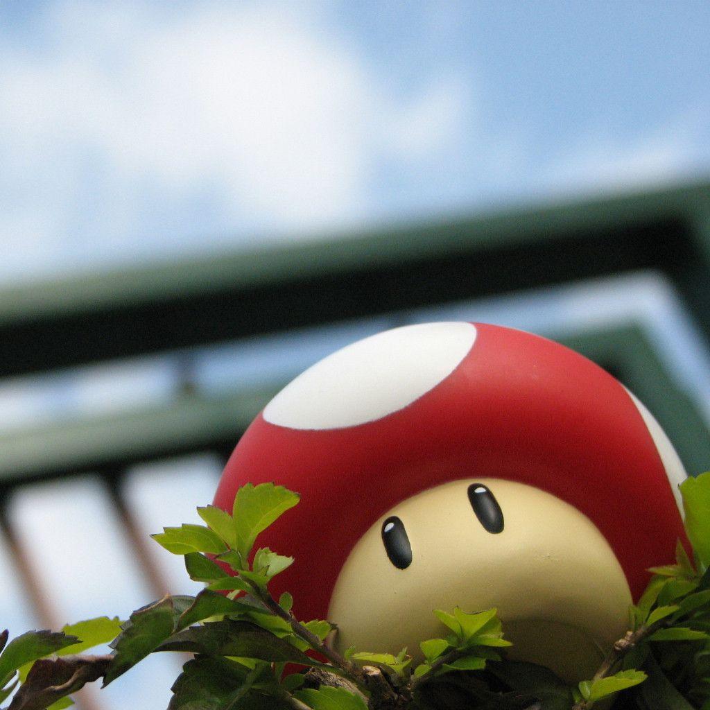 Toad Wallpapers Wallpaper Cave