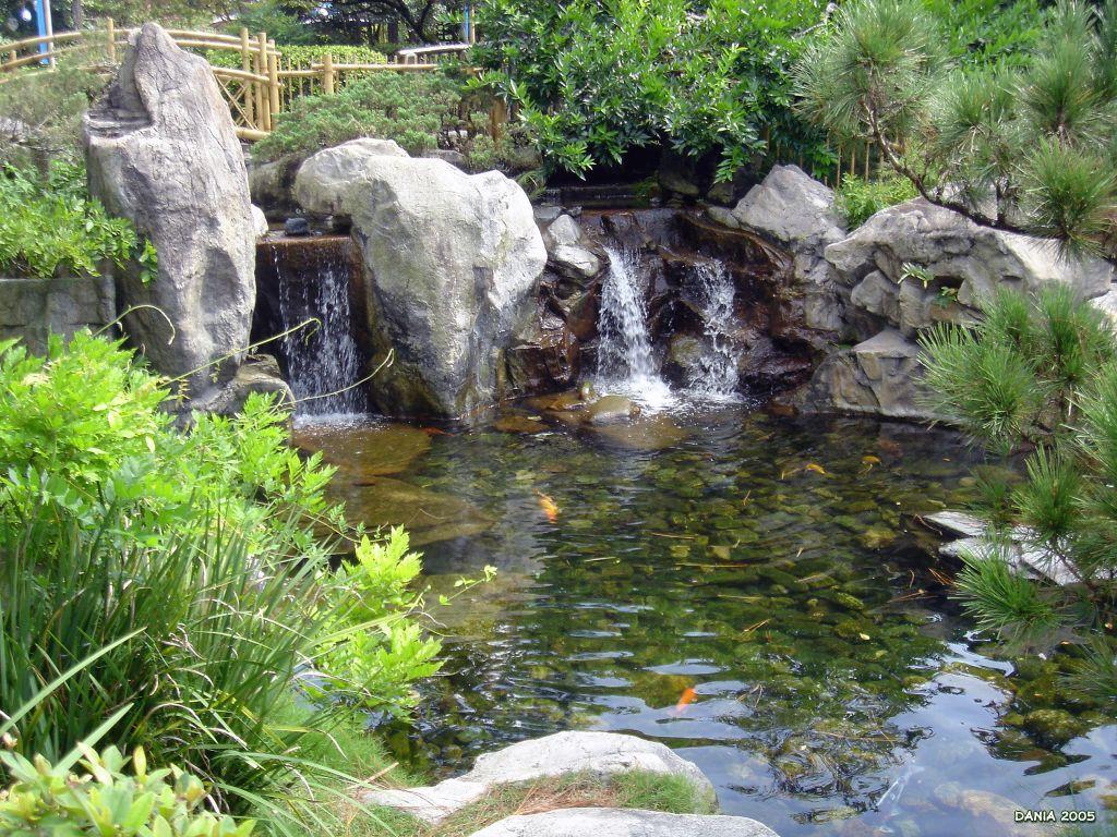 Koi Pond Wallpapers Wallpaper Cave