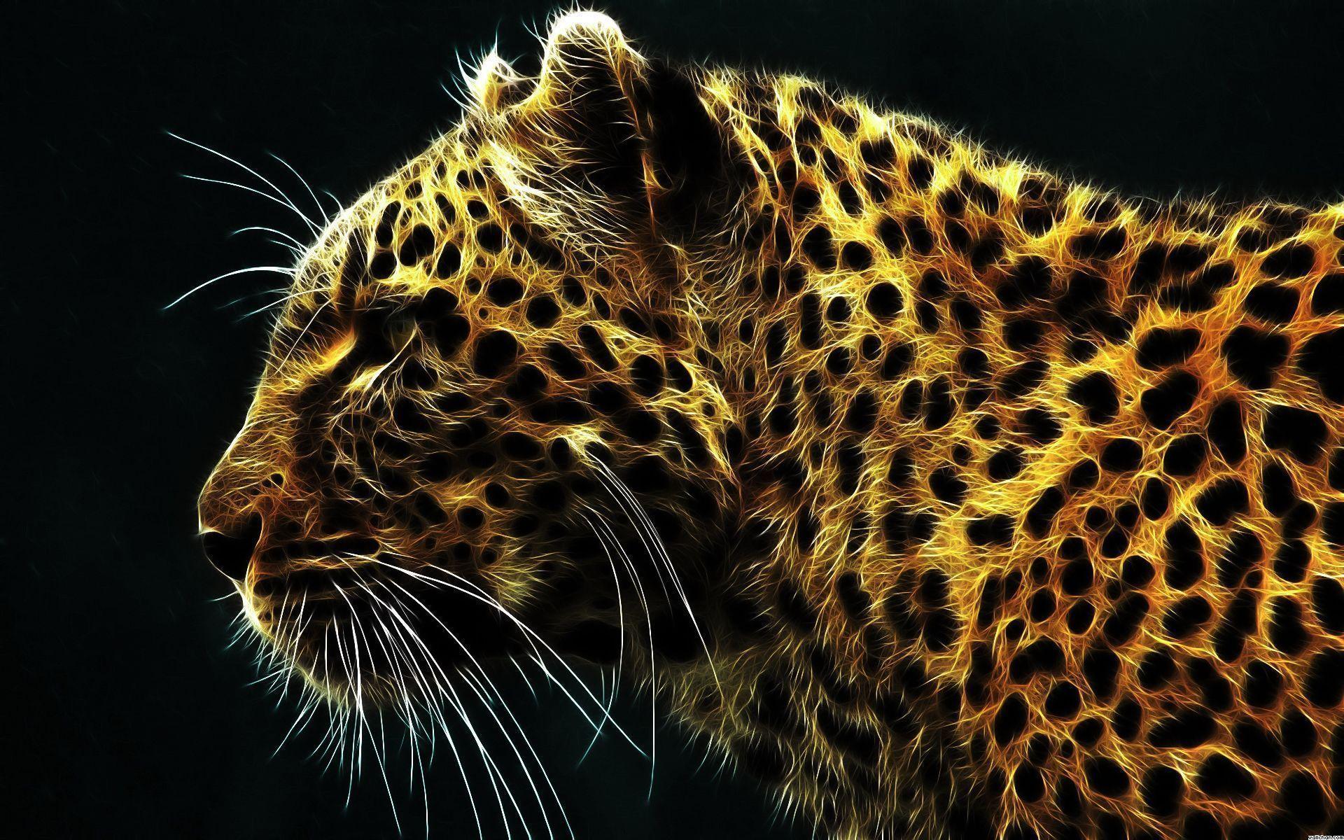 Wild Cat Wallpapers Wallpaper Cave