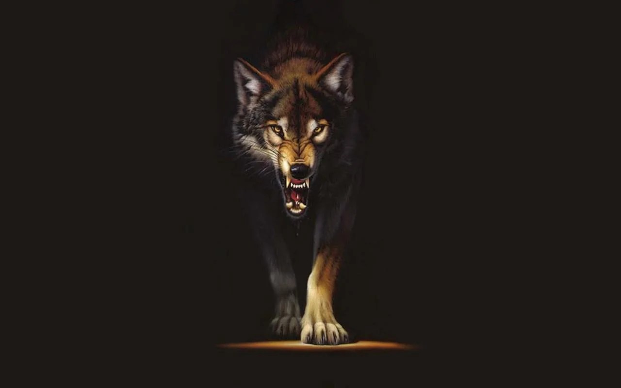 Wolf Wallpapers For Desktop Wallpaper Cave