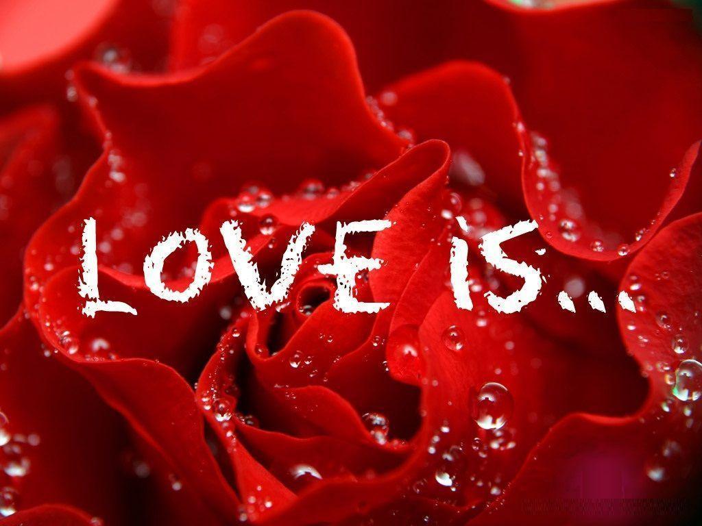 Red Love Wallpapers Wallpaper Cave
