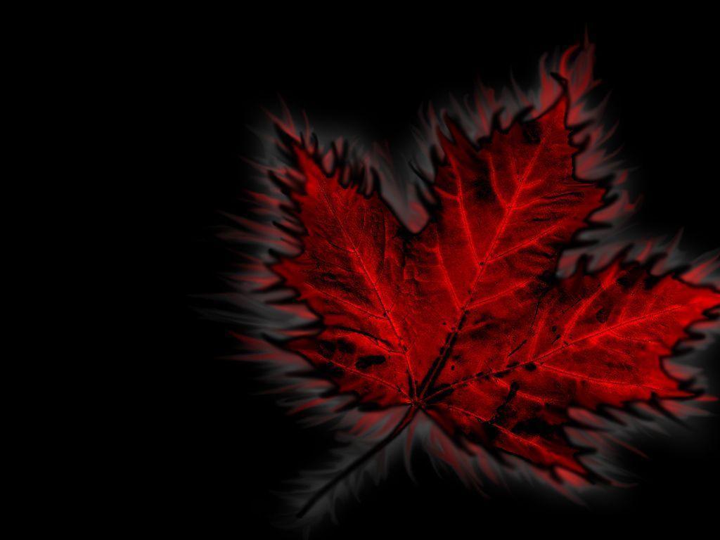 Canadian Wallpapers Wallpaper Cave