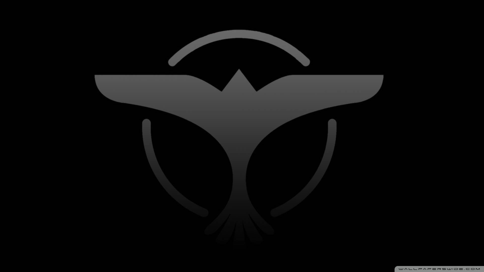 DJ Tiesto Wallpapers 2015 Wallpaper Cave