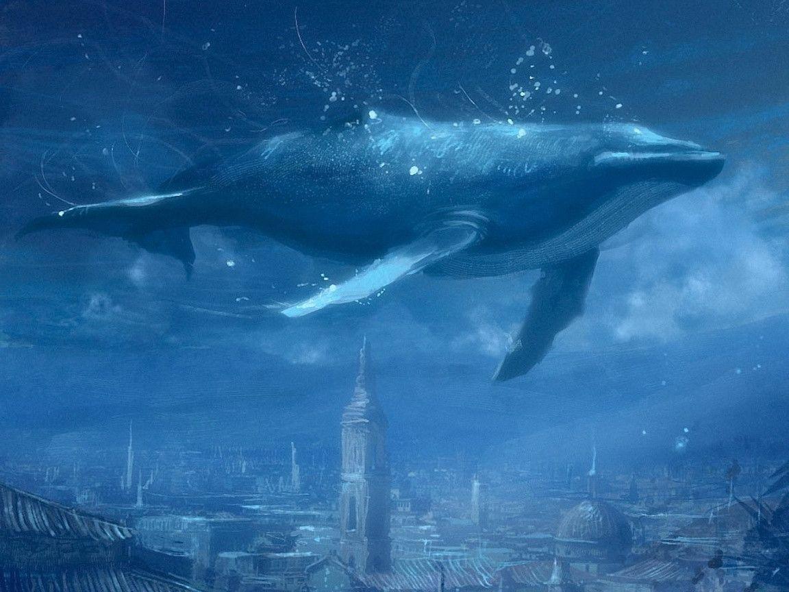 Blue Whale Wallpapers Wallpaper Cave