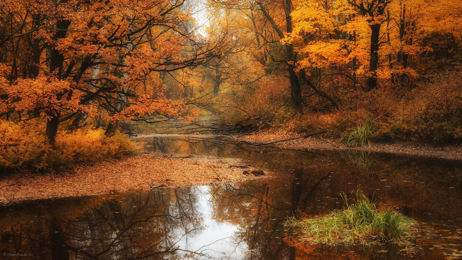 1920x1080 Fall Wallpapers Wallpaper Cave