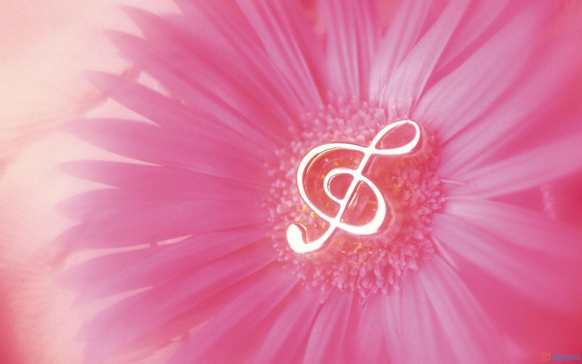 Pink Music Wallpapers Wallpaper Cave