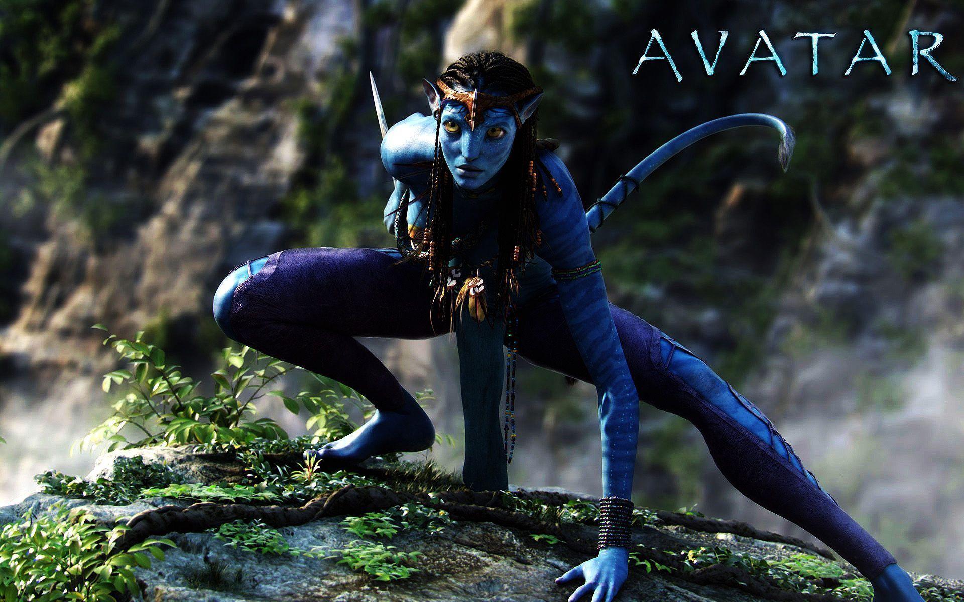 Avatar Wallpapers Wallpaper Cave