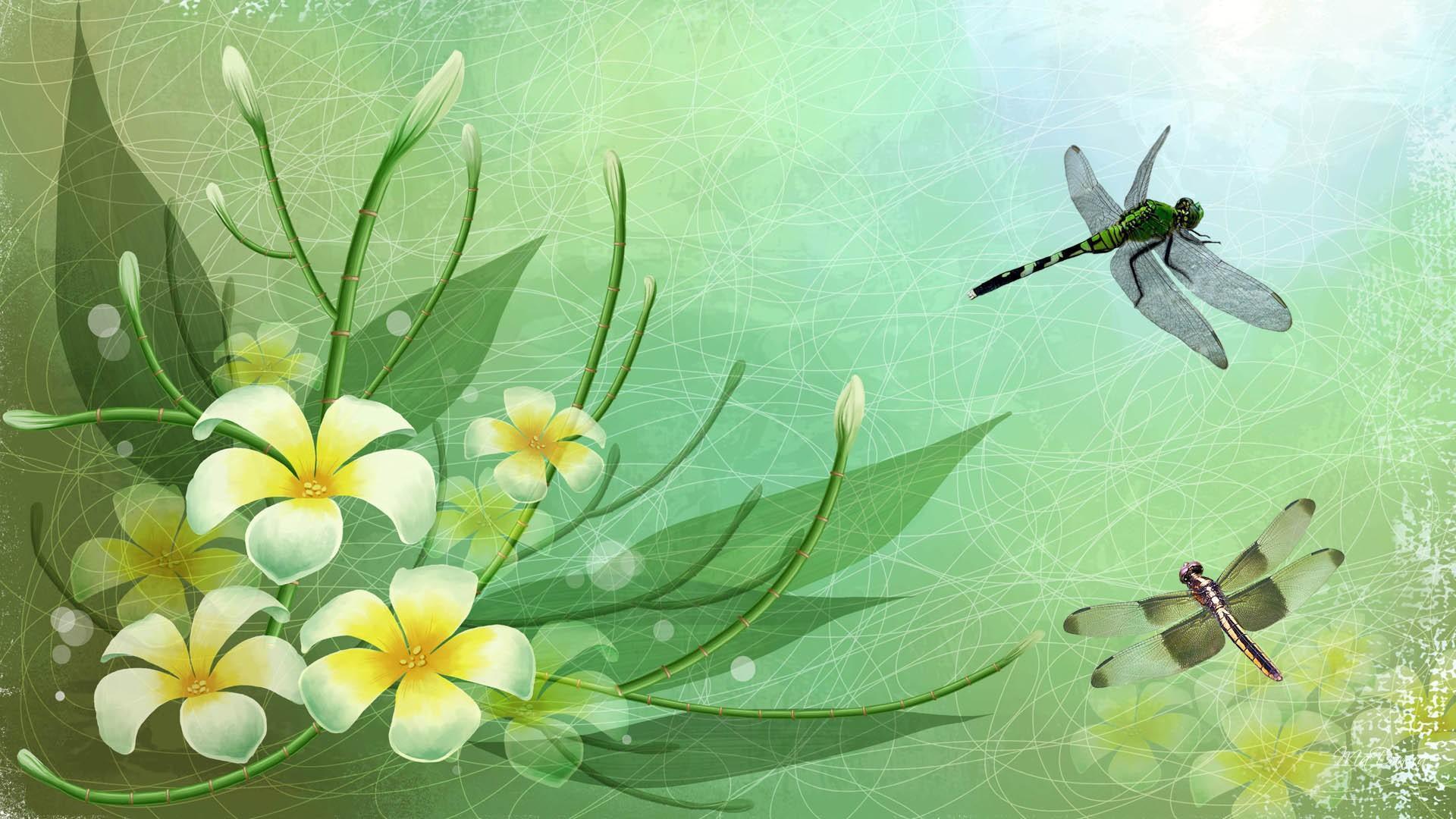 Wallpapers Dragonfly Wallpaper Cave