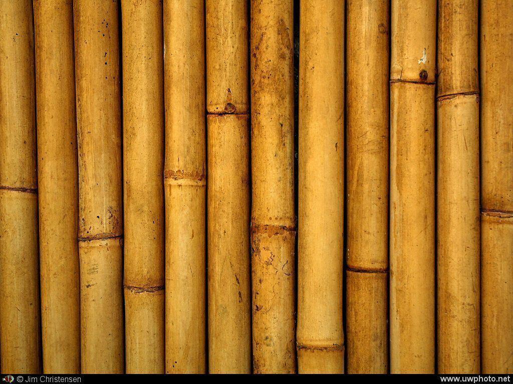 Bamboo Desktop Wallpapers Wallpaper Cave