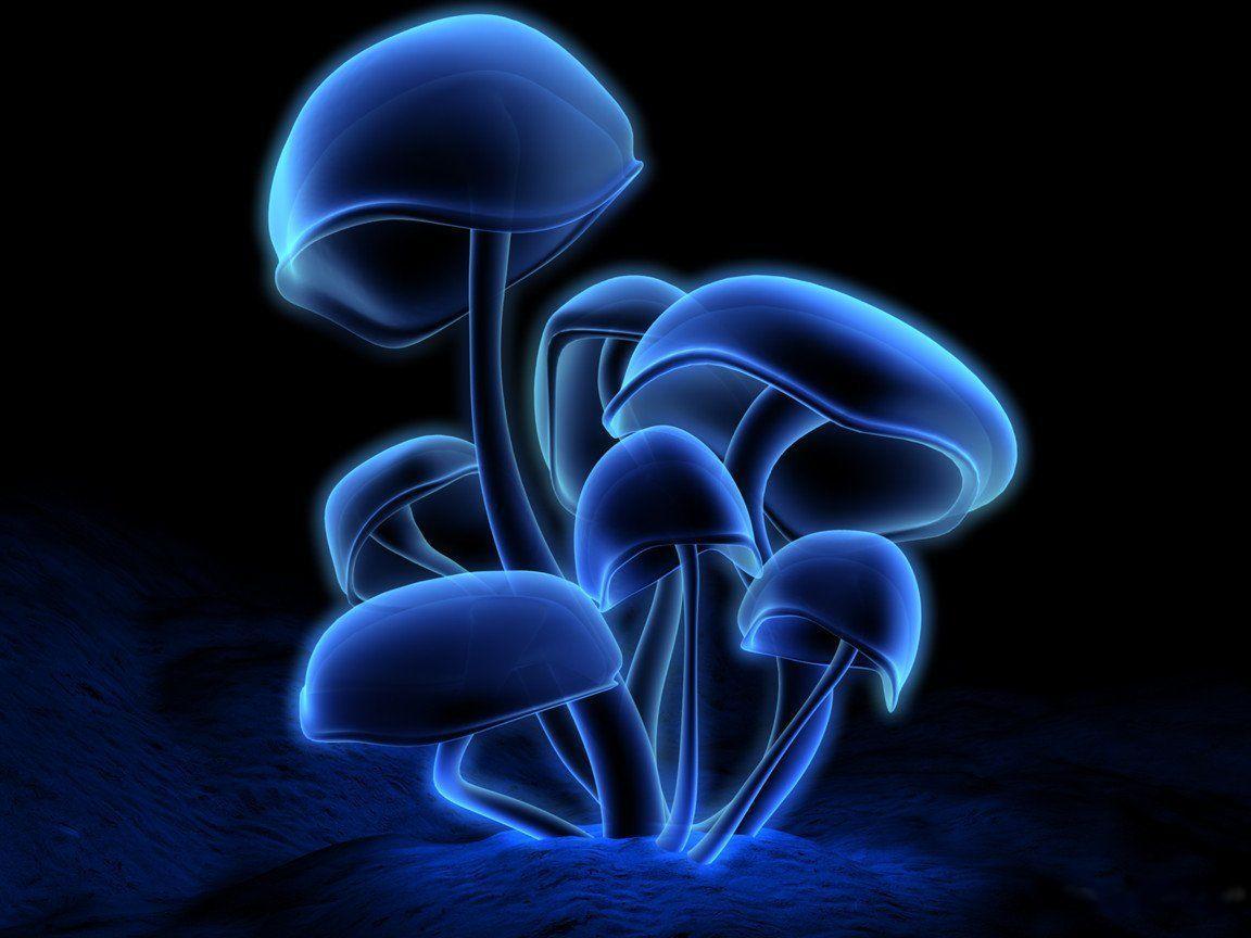 Neon Blue Wallpapers Wallpaper Cave