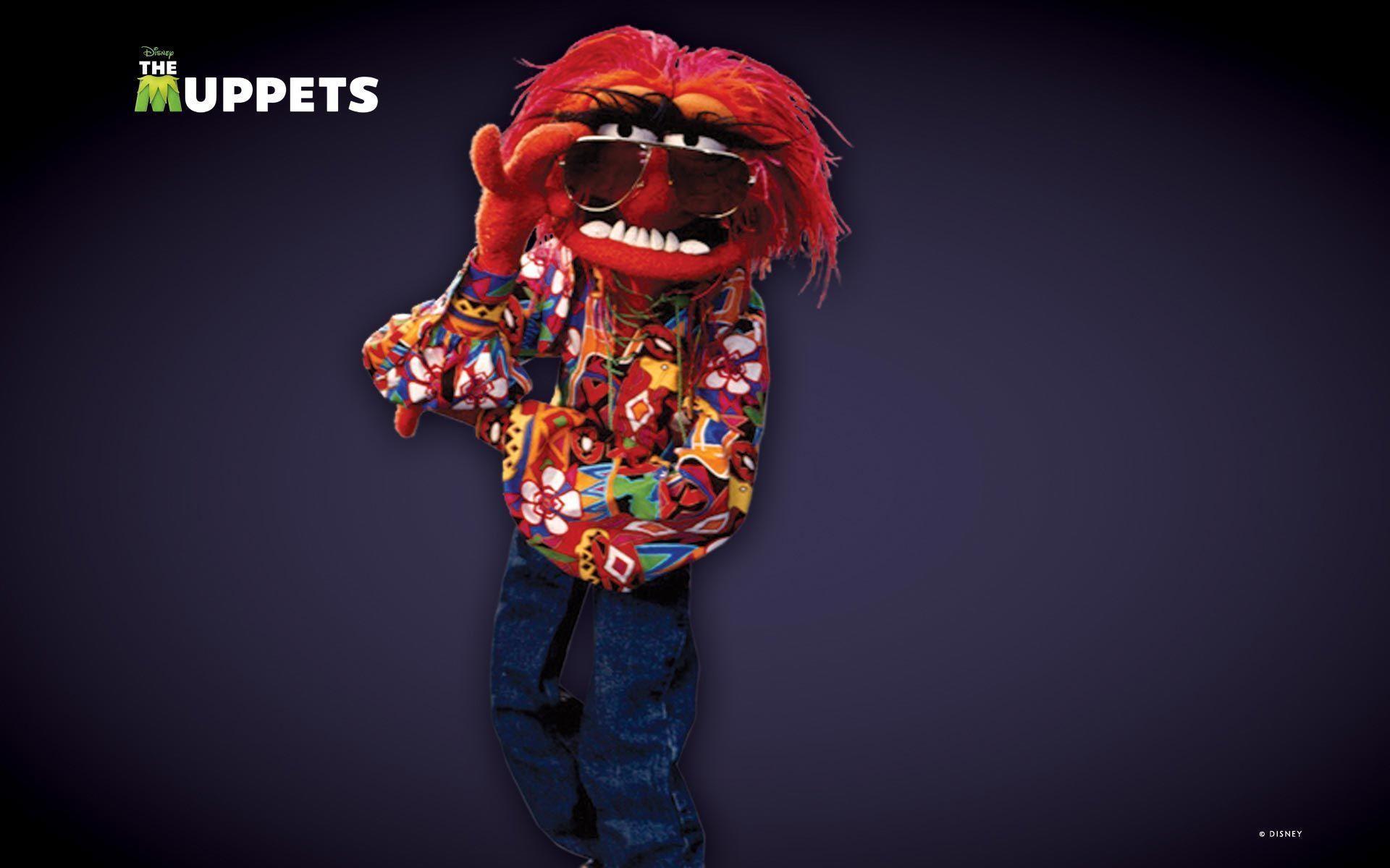 Muppets Wallpapers Wallpaper Cave