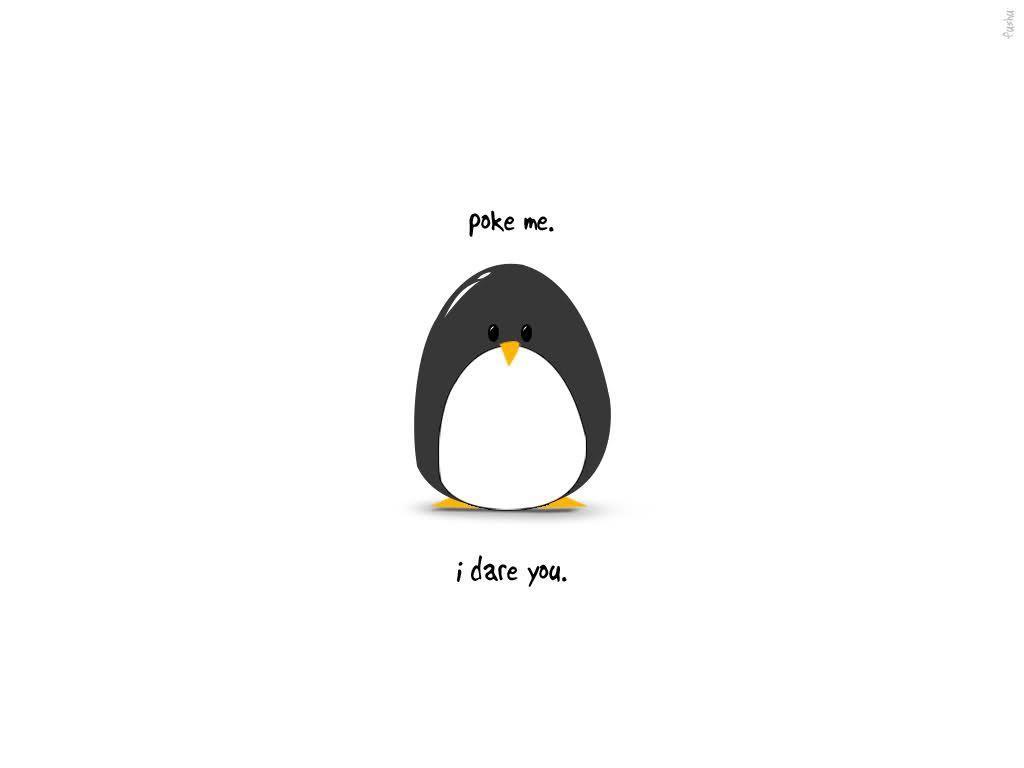 Cute Penguin Backgrounds Wallpaper Cave