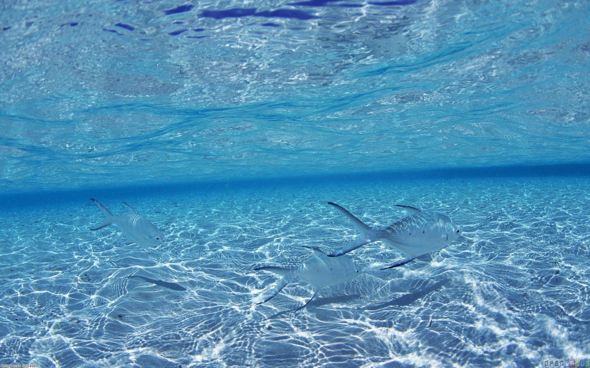 Blue Ocean Wallpapers Wallpaper Cave