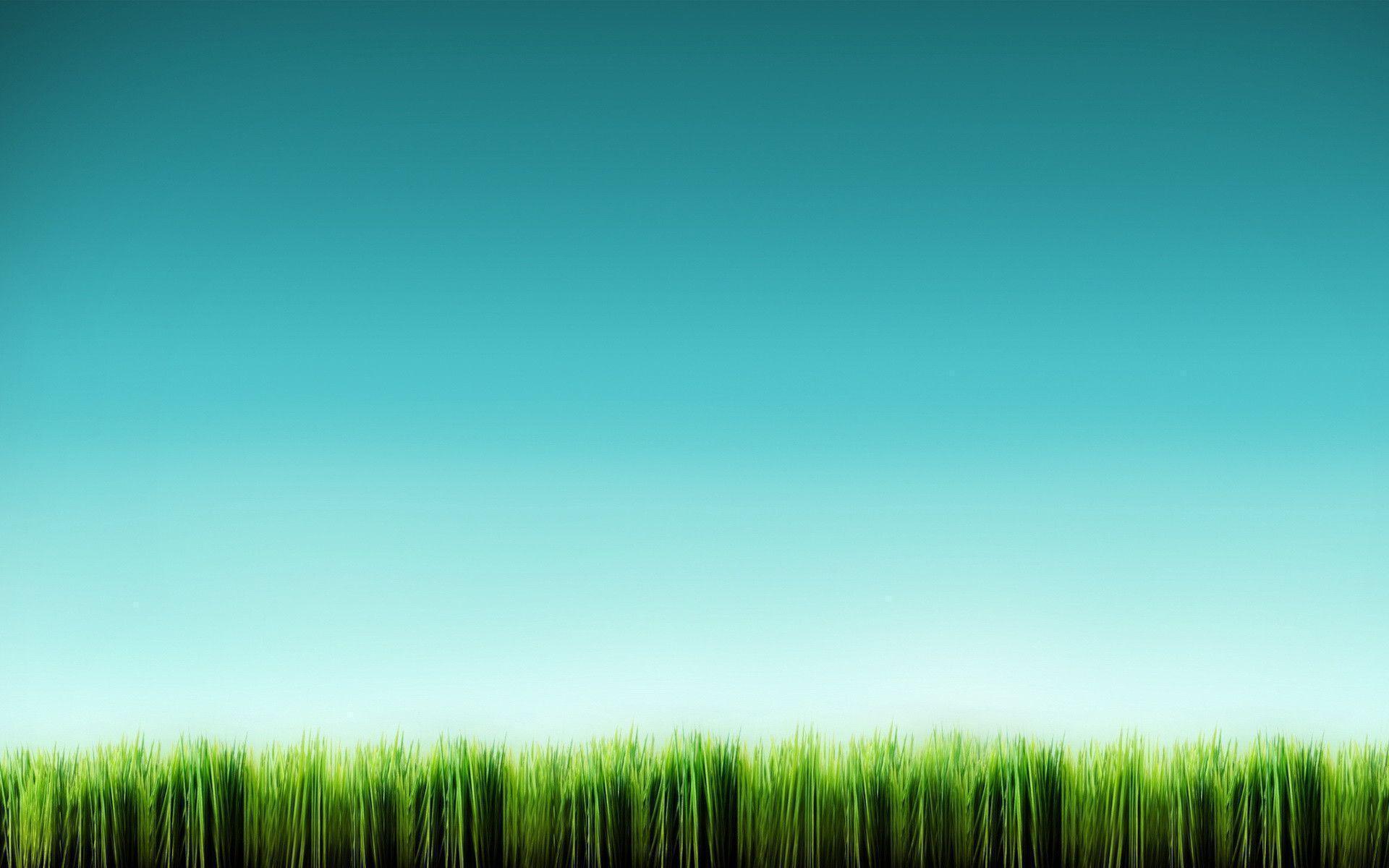 Green Grass Wallpapers Wallpaper Cave