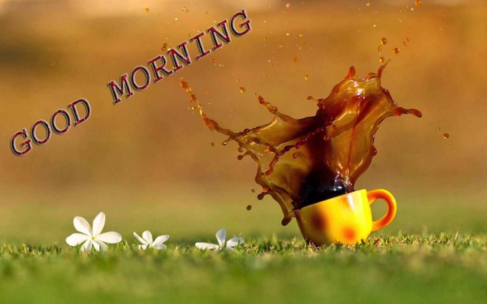 New Good Morning Wallpapers Wallpaper Cave