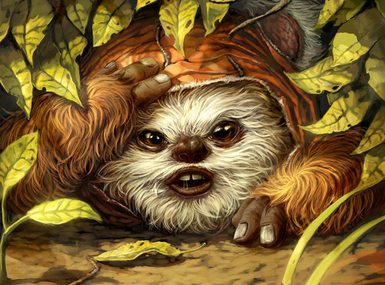 Ewok Wallpapers Wallpaper Cave
