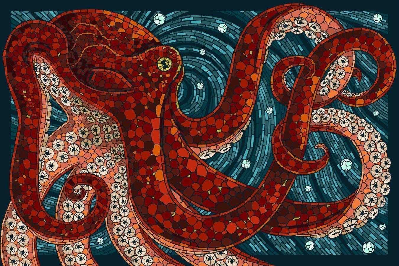 Ahtapot Resimleri, Ahtapot Duvar Kağıtları / Octopus Wallpapers
