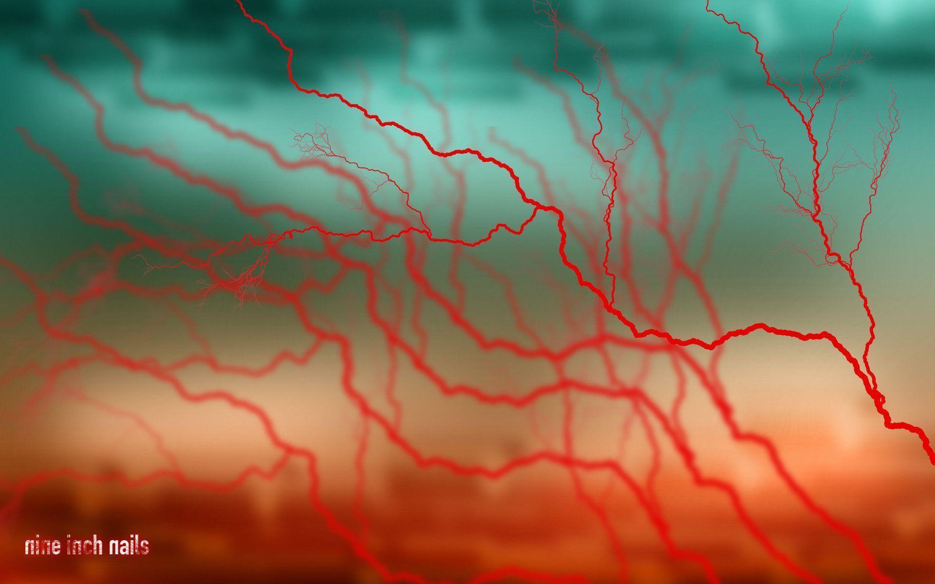 Nin Wallpapers Wallpaper Cave