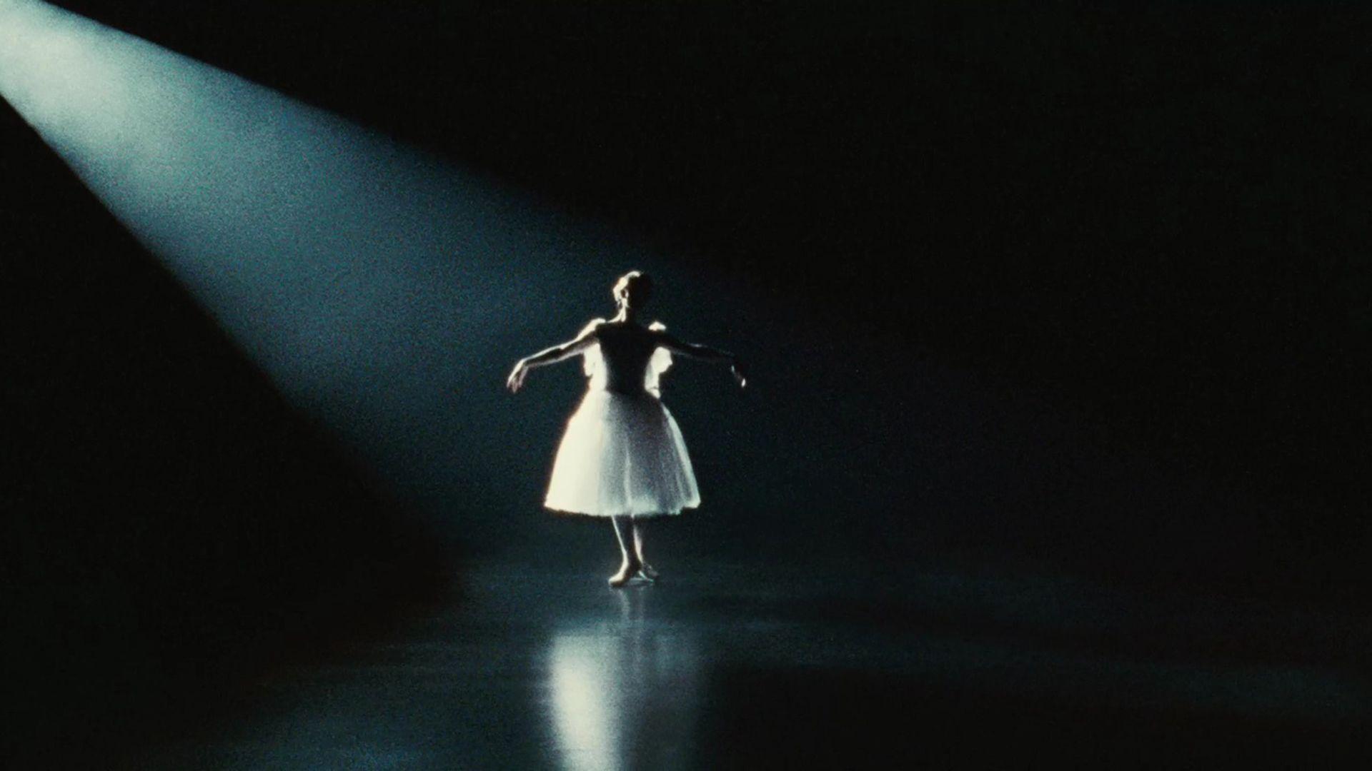 Black Swan Wallpapers Wallpaper Cave