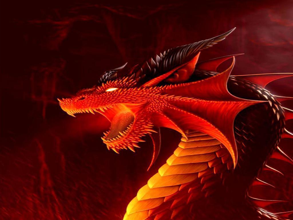 Red Dragon Wallpapers Wallpaper Cave