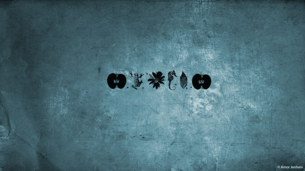 Fringe Wallpapers Wallpaper Cave