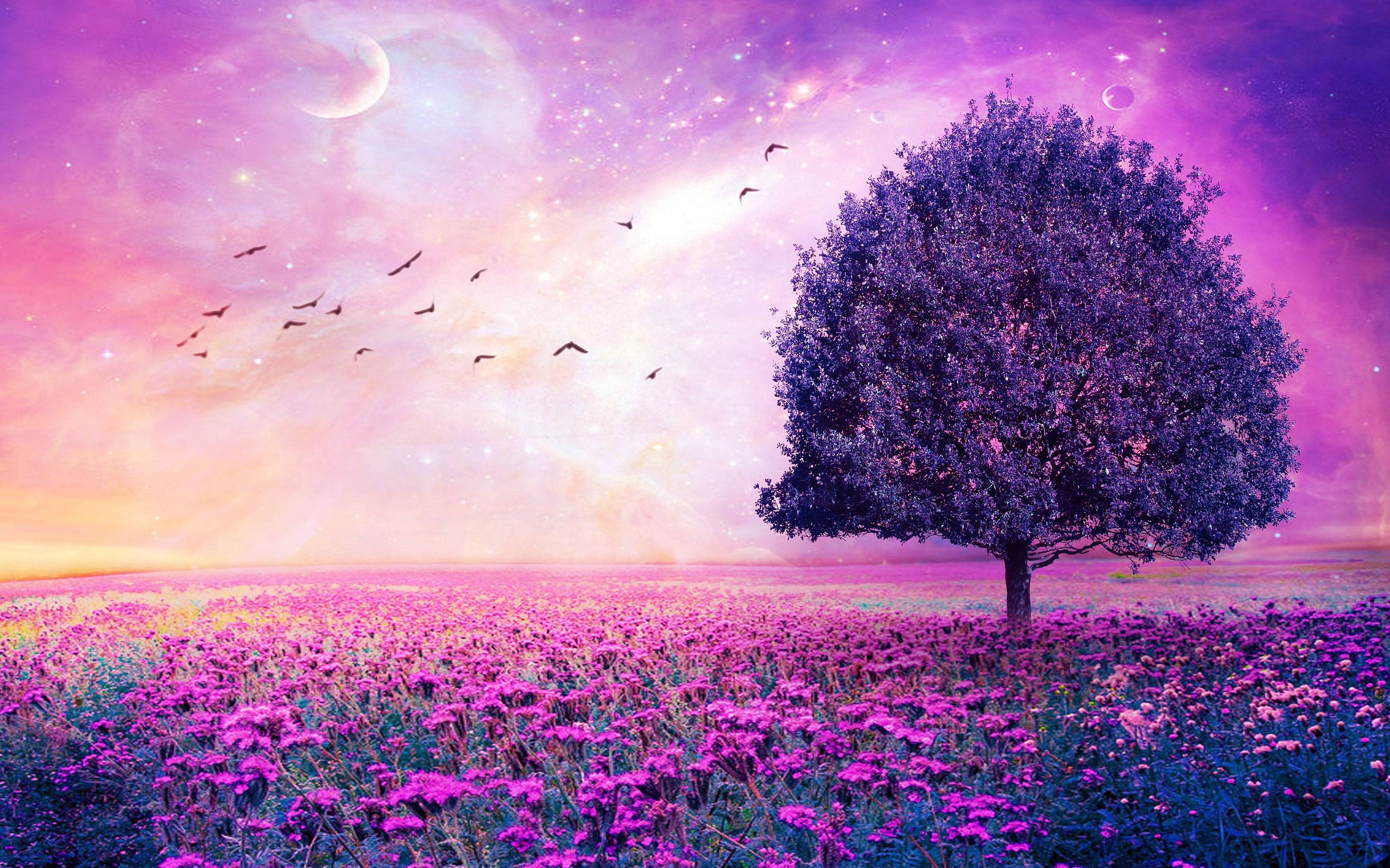 Purple Tree Wallpapers Wallpaper Cave