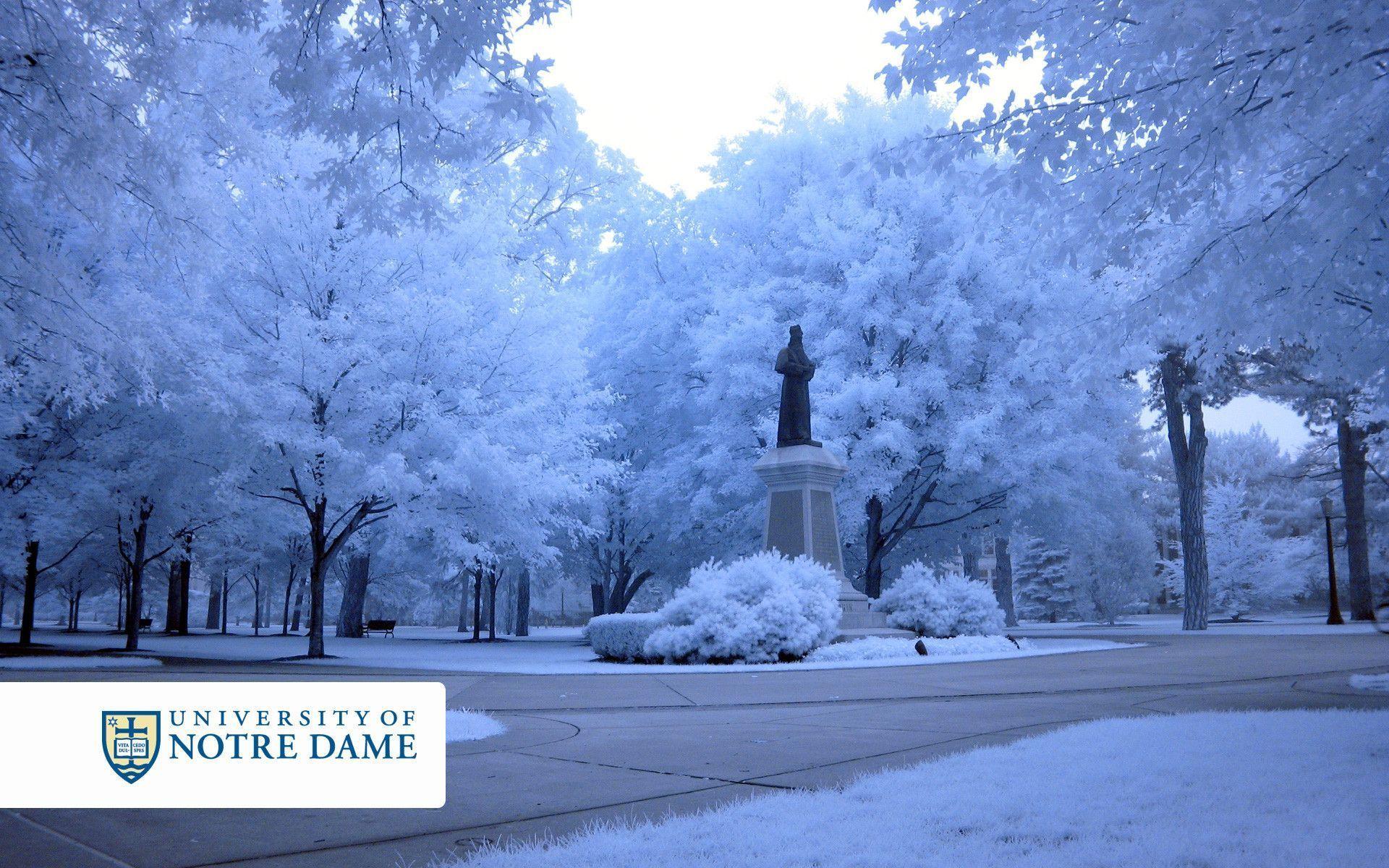 Beautiful Backgrounds Wallpapers Wallpaper Cave