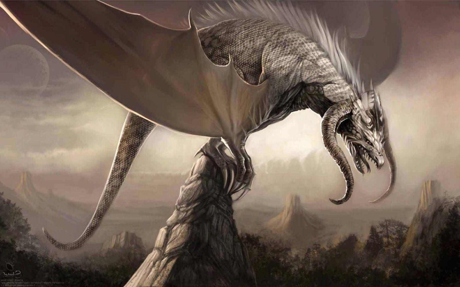 White Dragon Wallpapers Wallpaper Cave