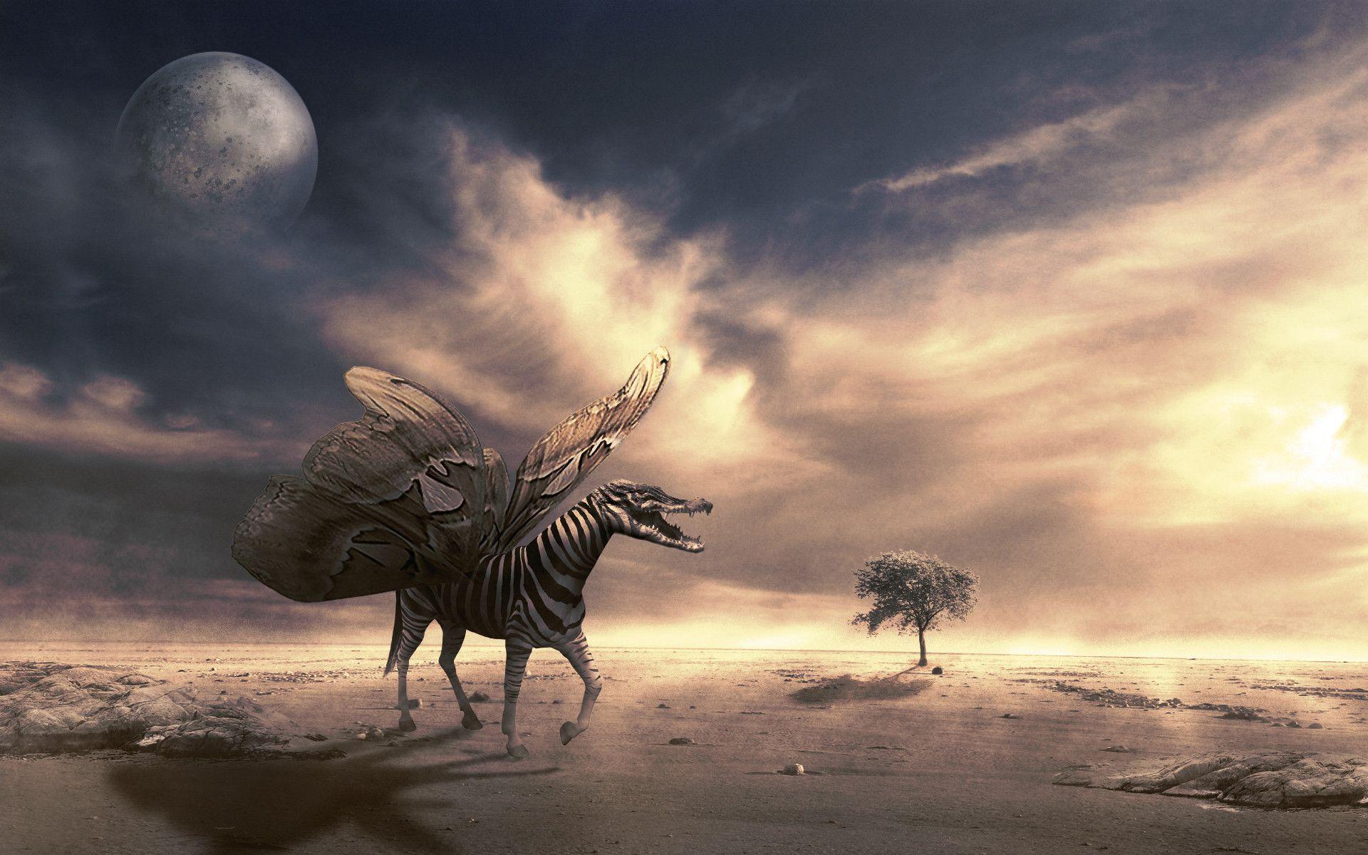 LSD Wallpapers Wallpaper Cave