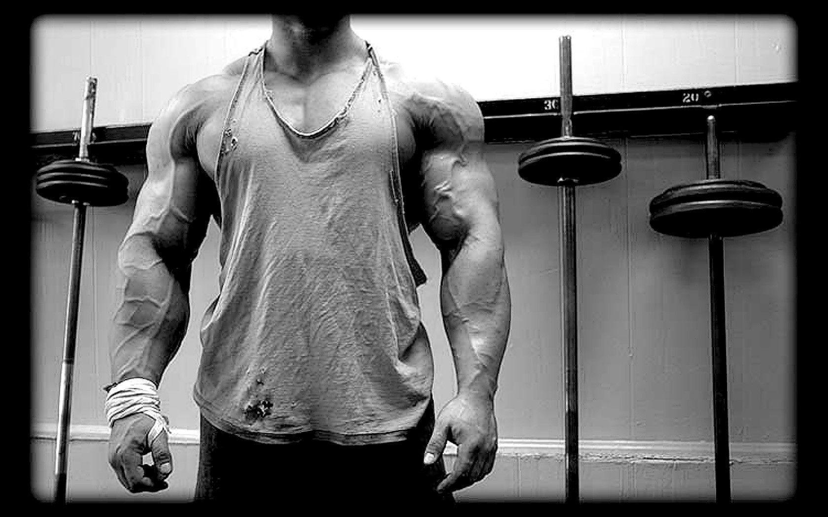 Animal Pak Wallpapers Wallpaper Cave