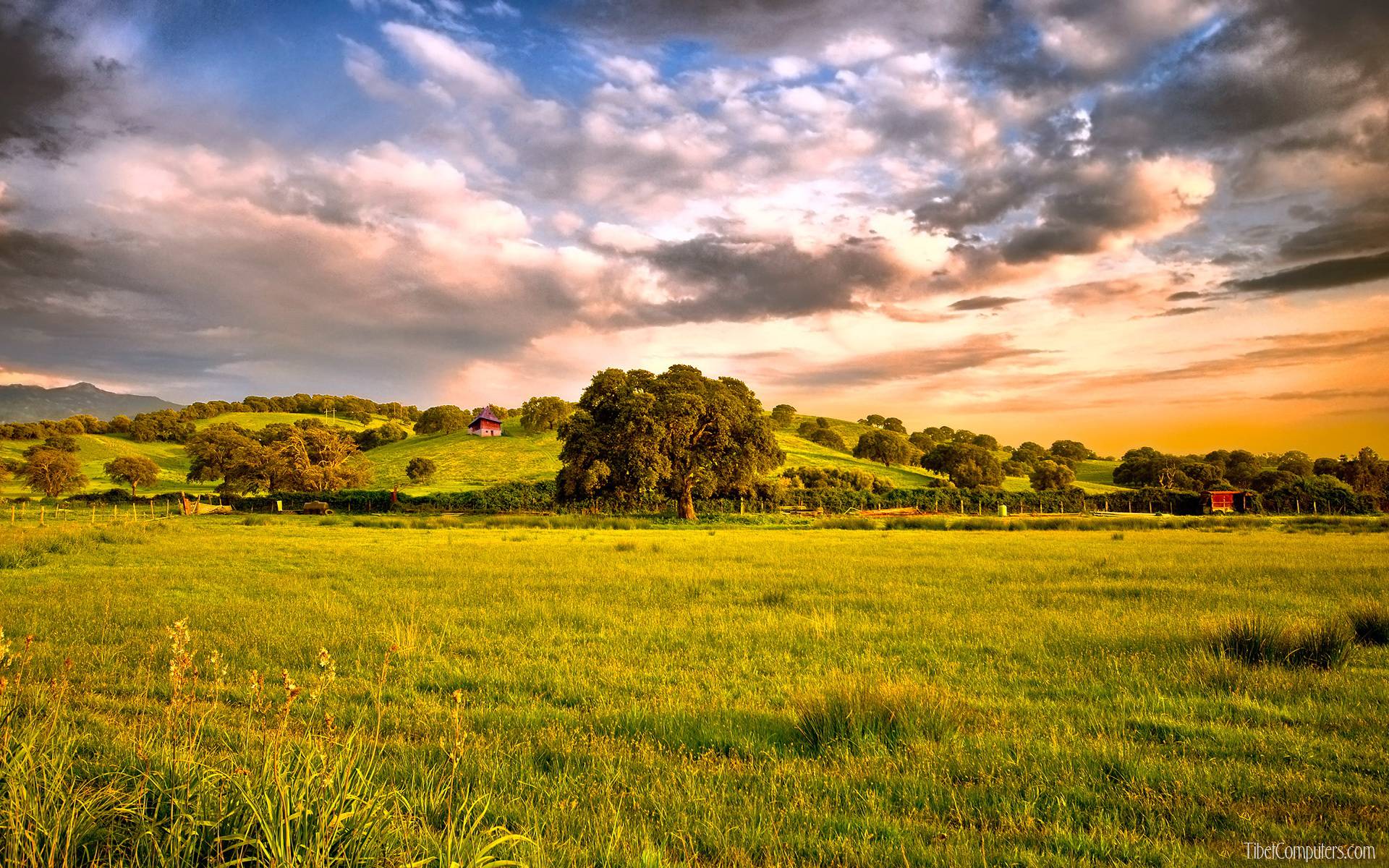 Nature Backgrounds For Mac Wallpaper Cave