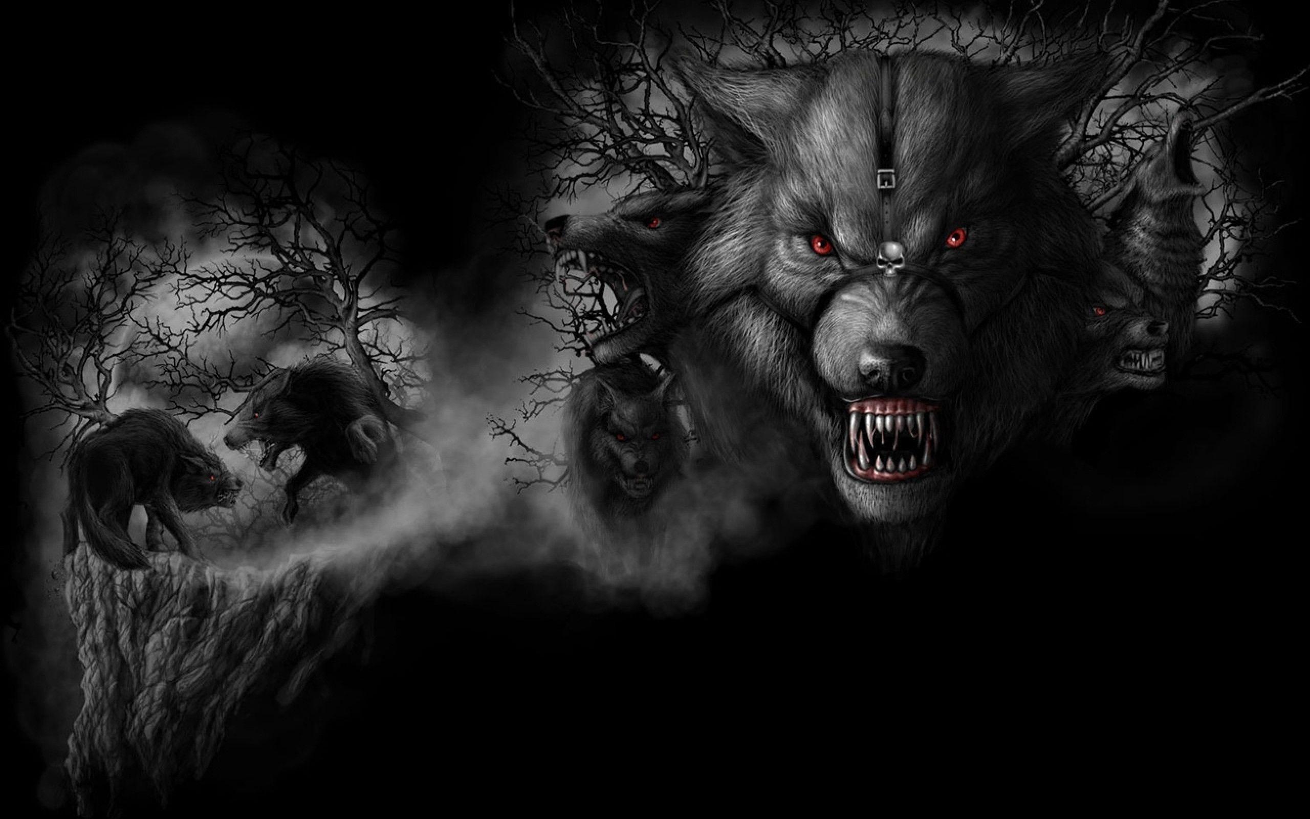 Dark Wolf Wallpapers Wallpaper Cave