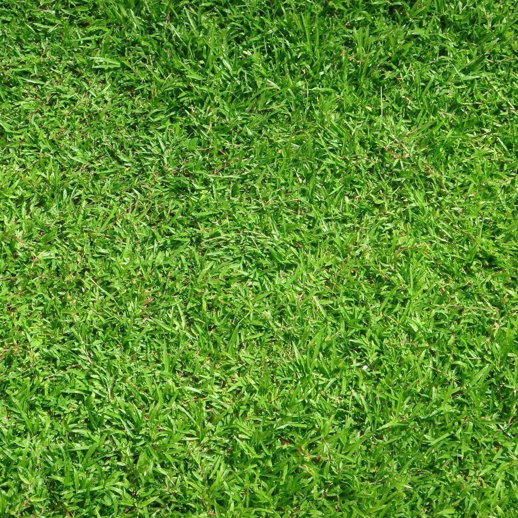 Green Grass Wallpapers Wallpaper Cave