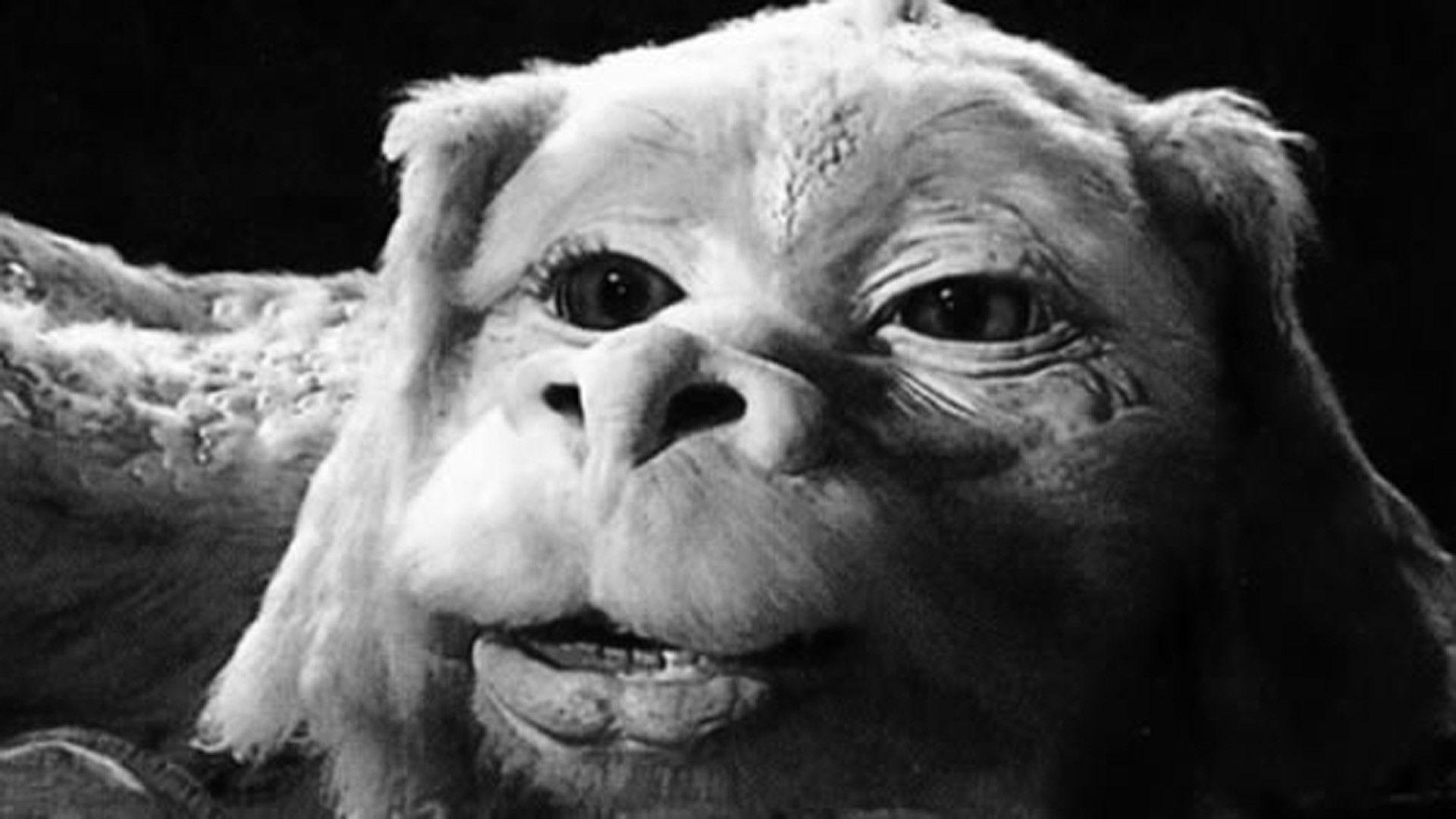 The NeverEnding Story Wallpapers Wallpaper Cave