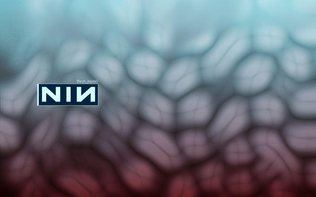Nin Wallpapers Wallpaper Cave