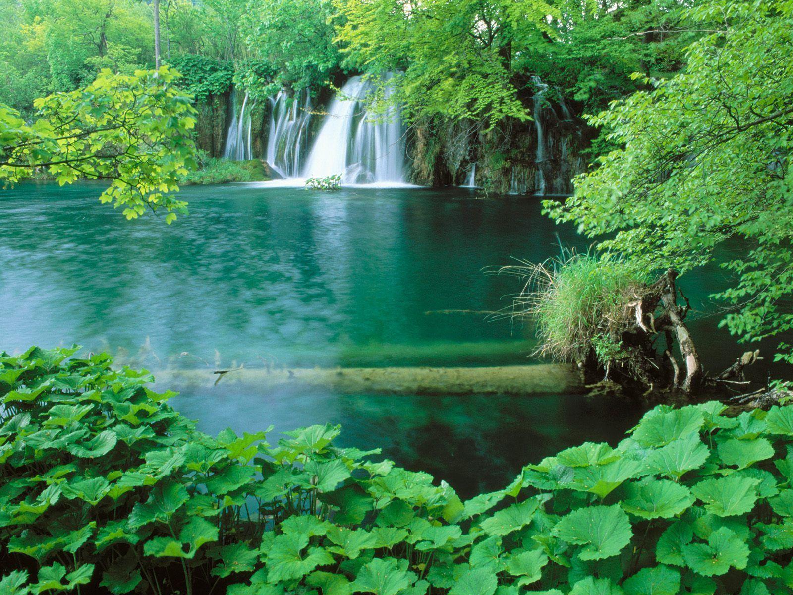 Wallpapers Nature Full Size Desktop 2016 Wallpaper Cave