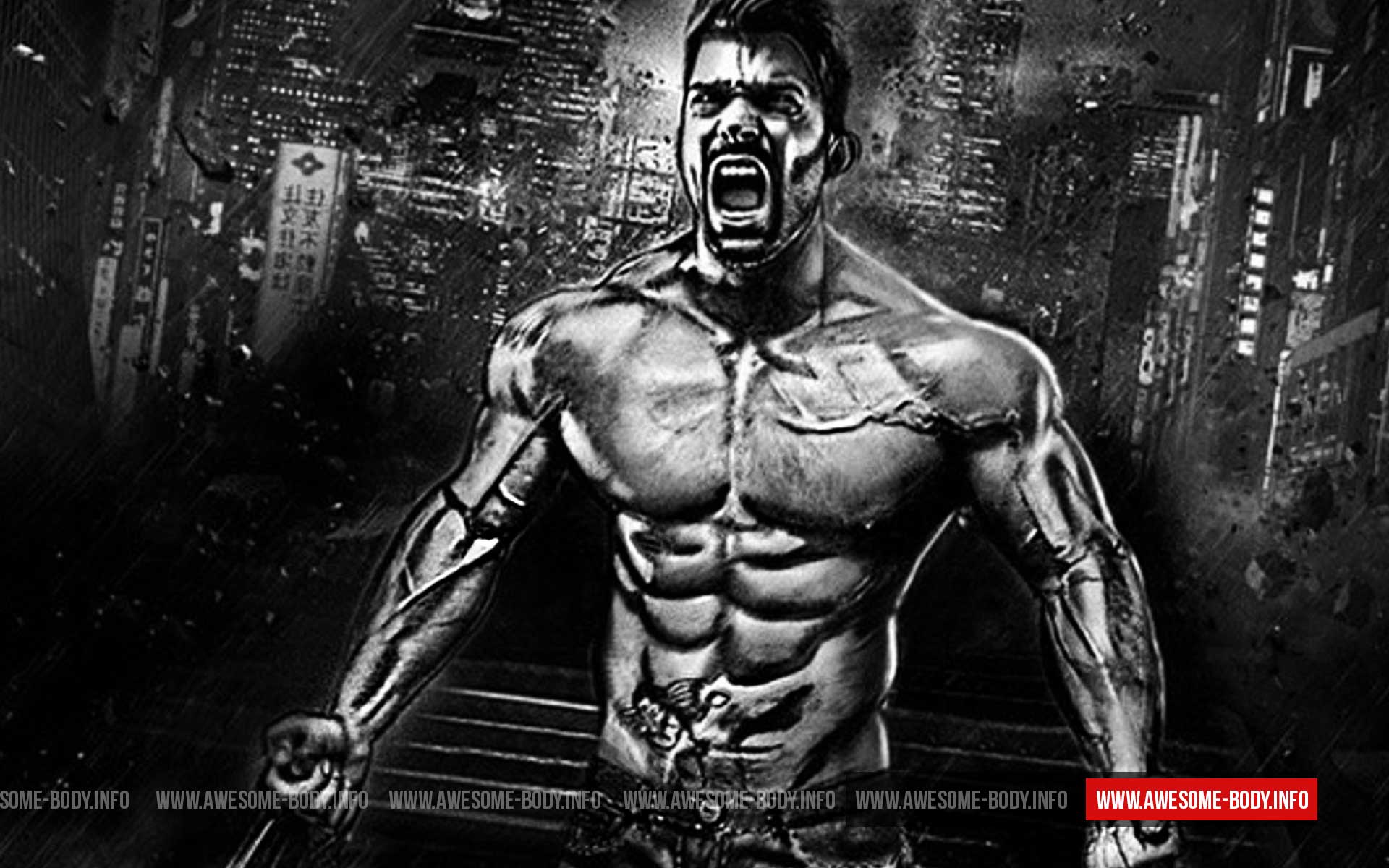 Bodybuilding Wallpapers HD 2016 Wallpaper Cave