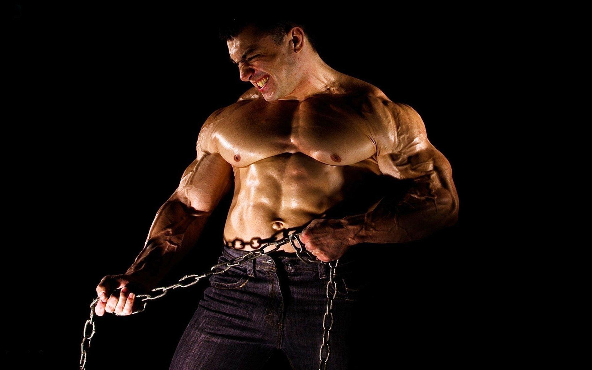 Bodybuilding Wallpapers HD 2016 Wallpaper Cave