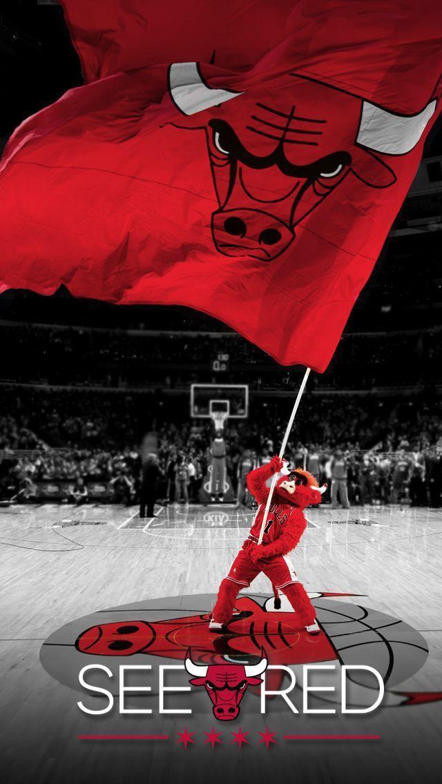 Chicago Bulls Wallpapers HD 2016 Wallpaper Cave