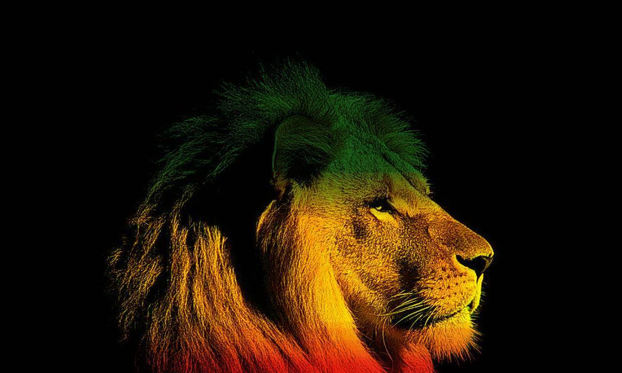 Gambar Wallpapers Reggae 2016 Wallpaper Cave