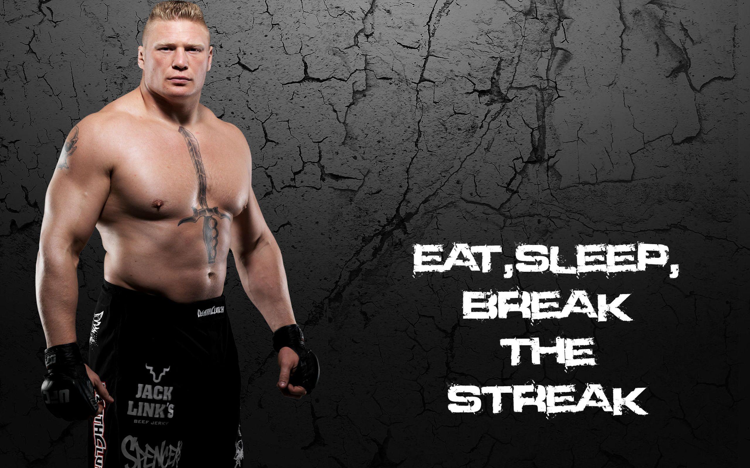 WWE Brock Lesnar 2016 HD Wallpapers Wallpaper Cave