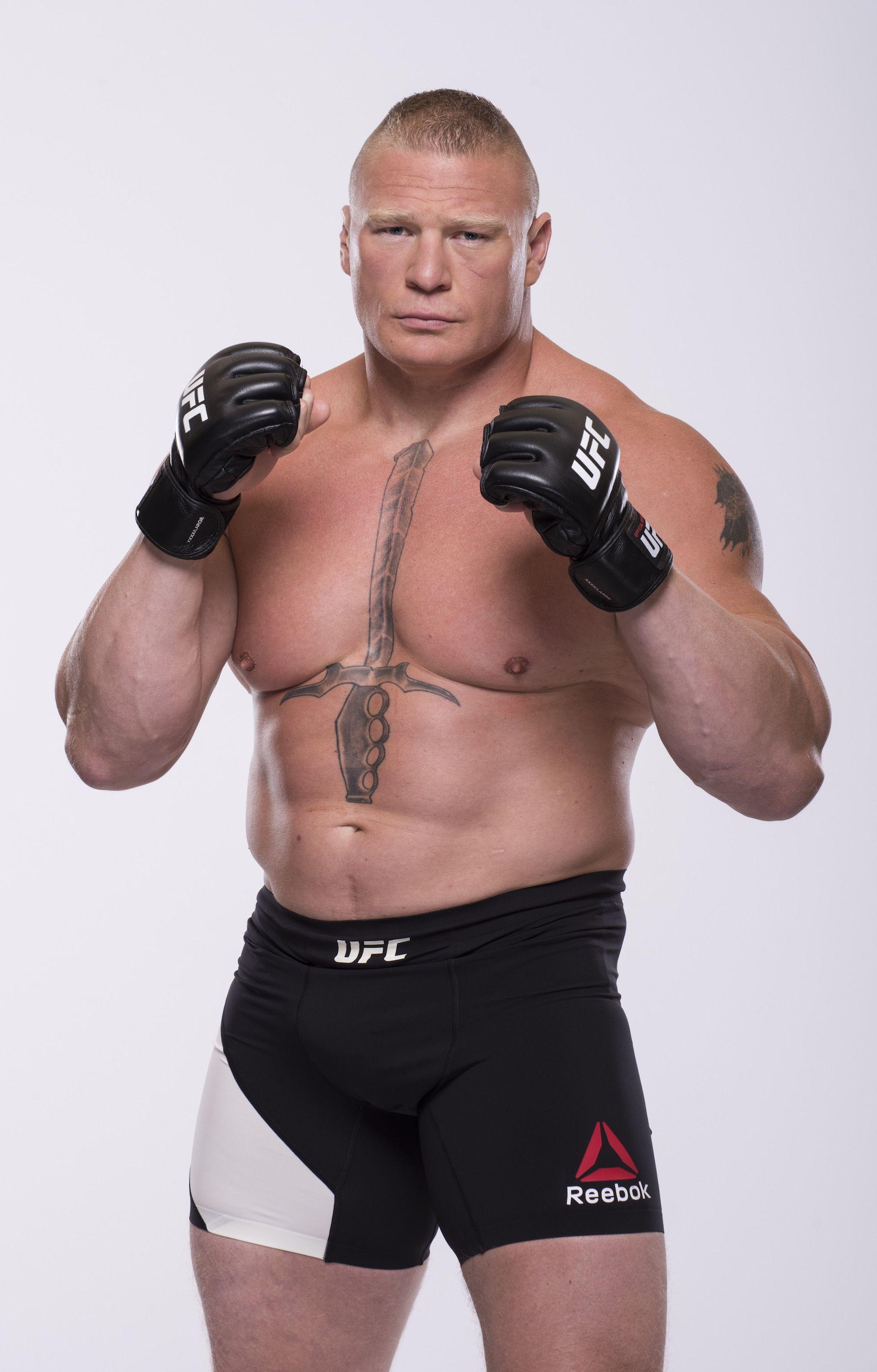Brock Lesnar HD Wallpapers 2017 Wallpaper Cave