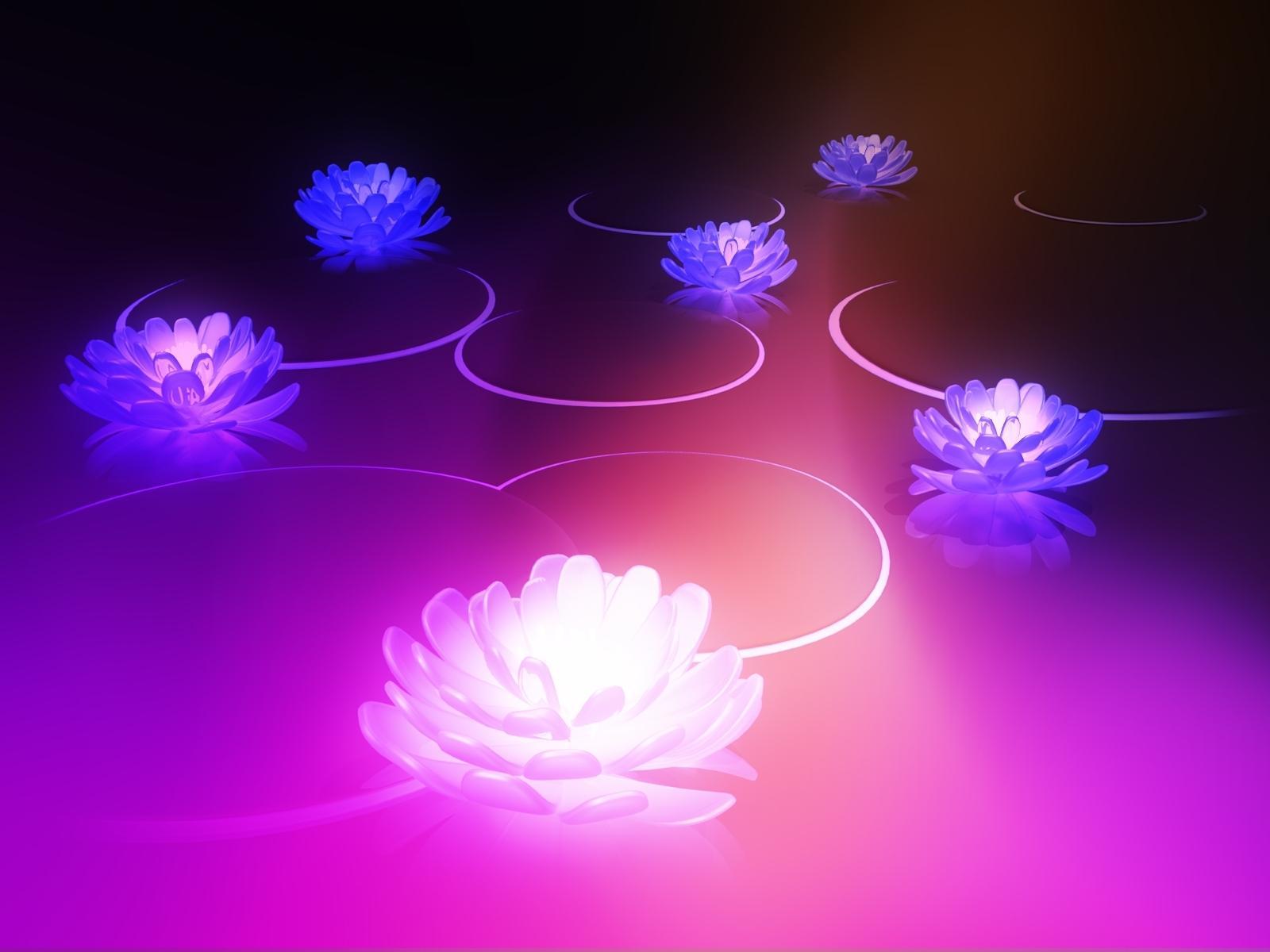 Lotus Wallpapers Wallpaper Cave